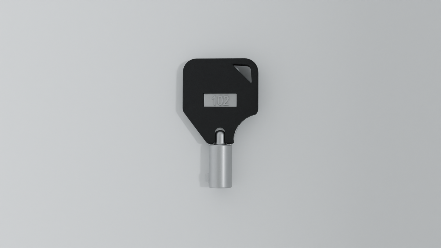 Replacement Key