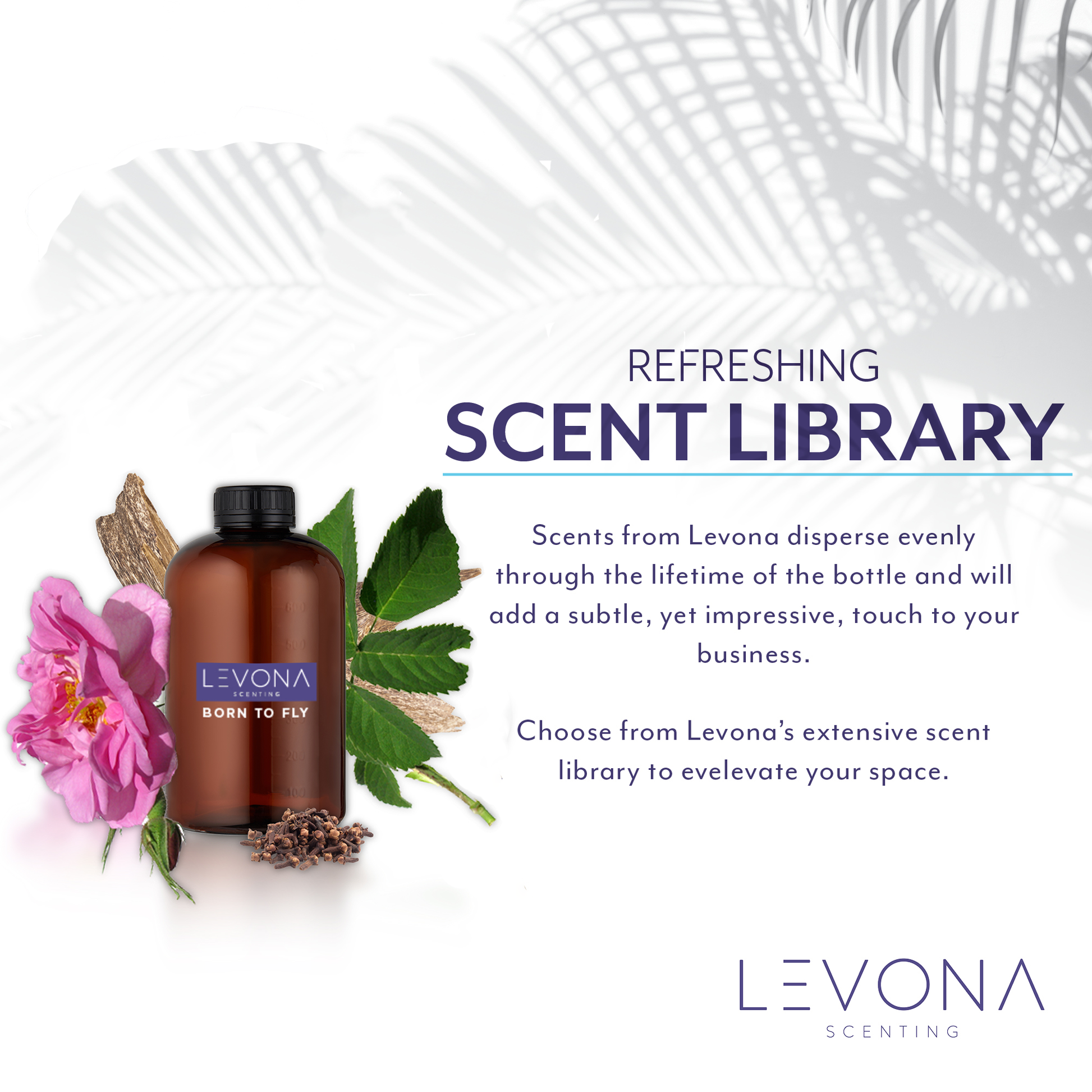 Levona Scents Oil Diffuser Essential Oils: Fragrance Oil for Diffuser -  Black Velvet Diffuser Oils Scents - Woody Citrus with Herbal Floral  Essential